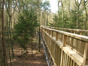 Salcey Forest's Treetop Walkway (the unflattering angle)